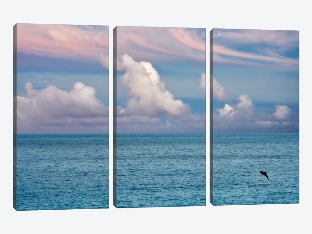 Jumping Dolphin by Dennis Frates 3-piece Canvas Art