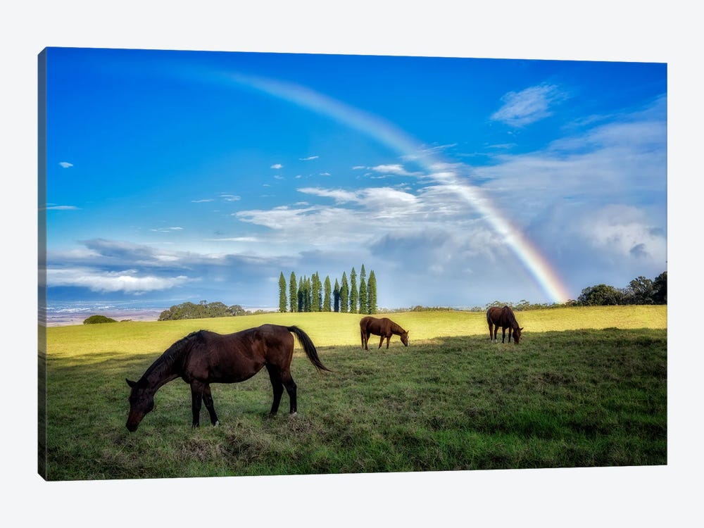Horse Pasture Rainbow by Dennis Frates 1-piece Canvas Wall Art