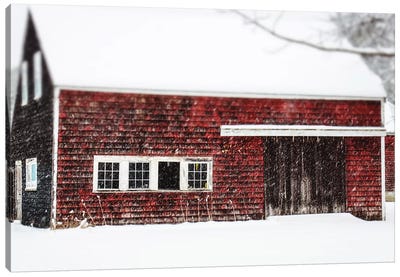 Winter Red Barn Canvas Art Print - Debbra Obertanec