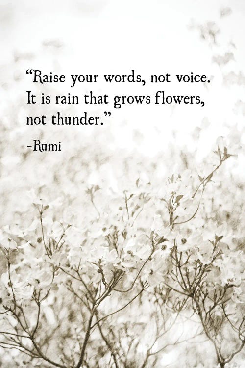 Rumi Love