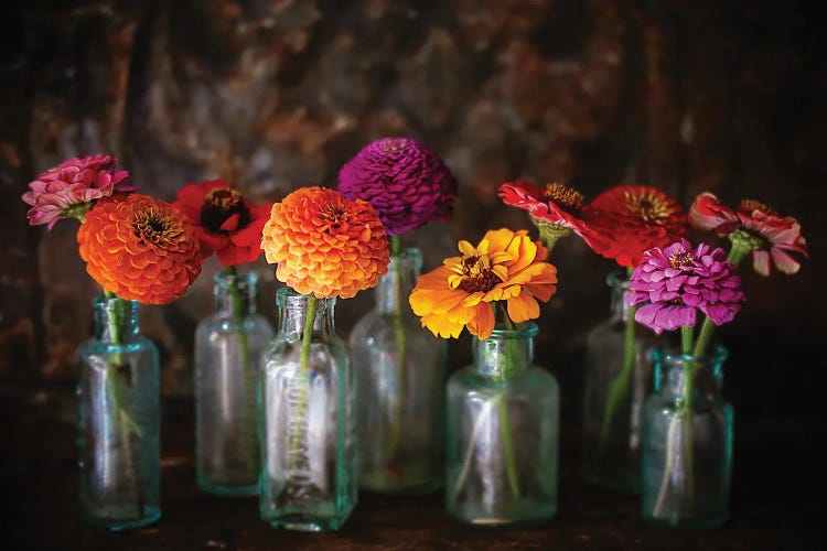 Zinnias In Vintage Bottles