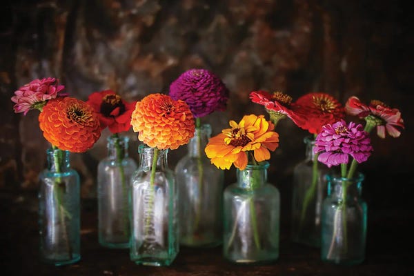 Zinnias In Vintage Bottles