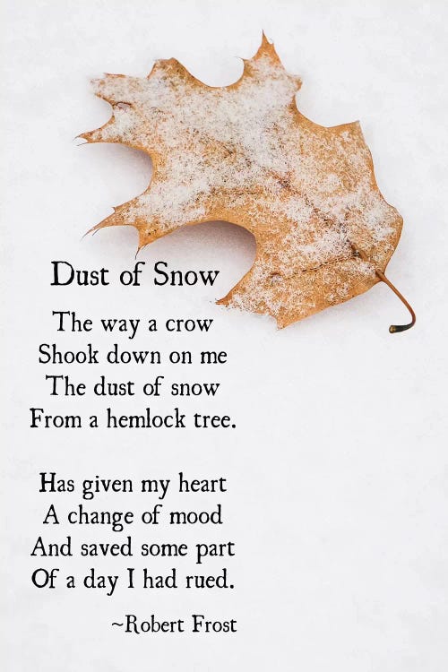Dust Of Snow by Debbra Obertanec wall art