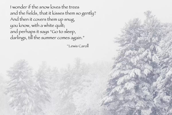 Sleeping & Napping: Go To Sleep by Debbra Obertanec