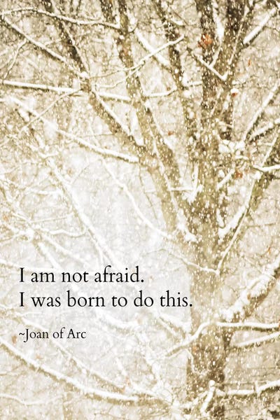 Women's Empowerment: I Am Not Afraid by Debbra Obertanec