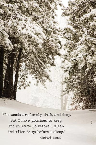 Snowscapes: Miles To Go by Debbra Obertanec