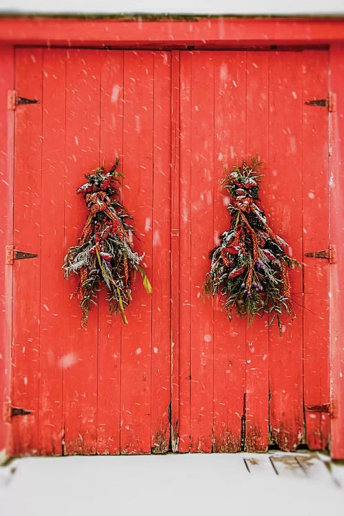 Red Winter Doors