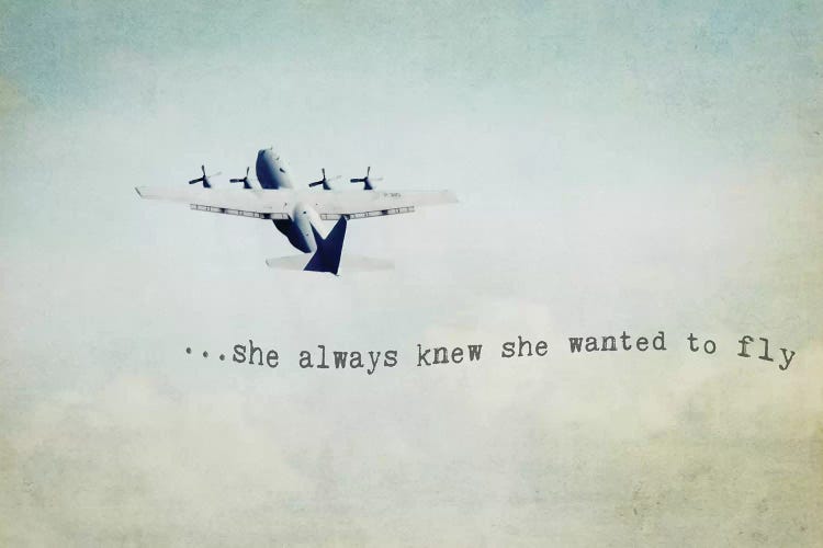 She Wanted To Fly by Debbra Obertanec wall art