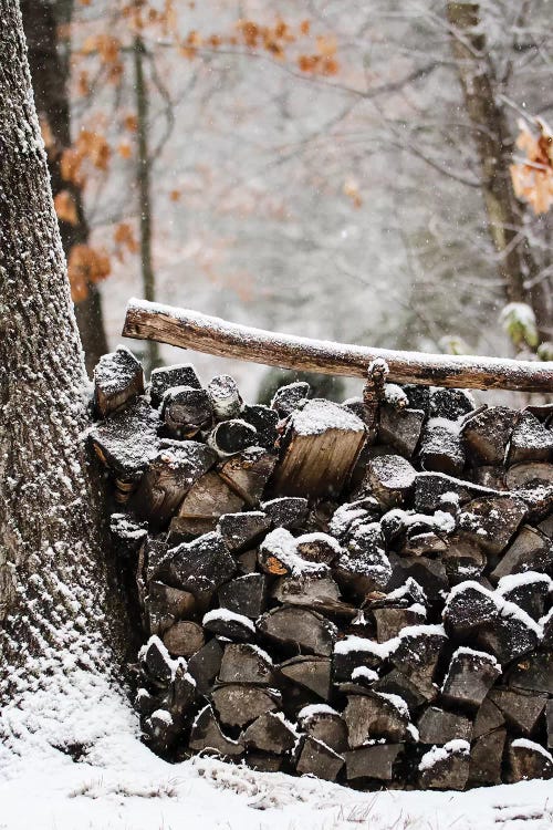 Snowy Wood Pile