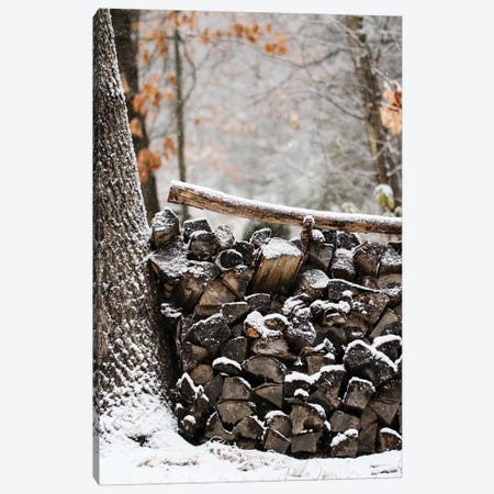 Snowy Wood Pile Canvas Print #DEO76} by Debbra Obertanec Canvas Artwork