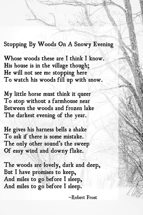 Stopping By Woods by Debbra Obertanec wall art