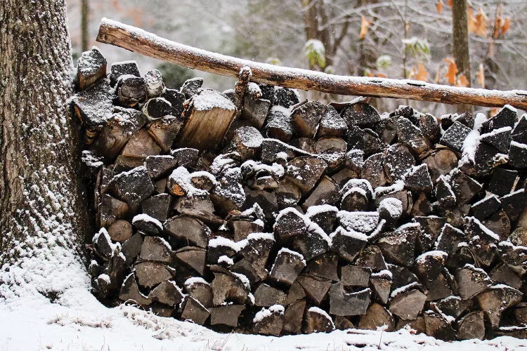 The Wood Pile