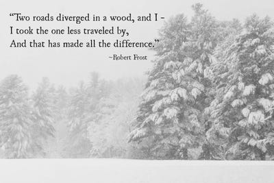 Two Roads Diverged by Debbra Obertanec framed canvas print