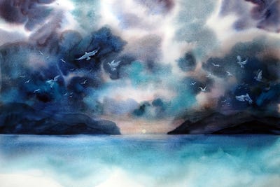 Birds by Delnara El framed canvas print