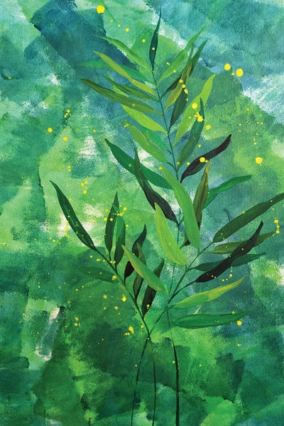 Chamaedorea On Expressive Background