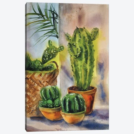 Cactus Plants Canvas Print #DER11} by Delnara El Canvas Art