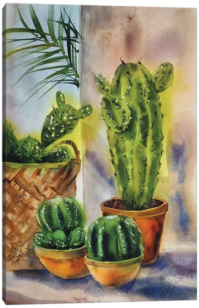Cactus Plants Canvas Art Print - Cactus Art