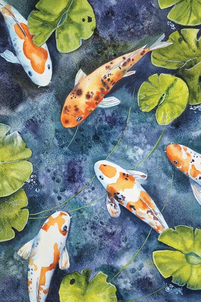 Koi: Koi Fish by Delnara El