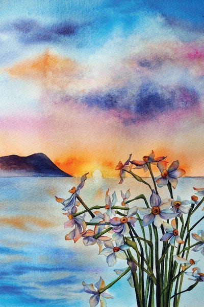 Mountain Sunrises & Sunsets: Daffodils by Delnara El