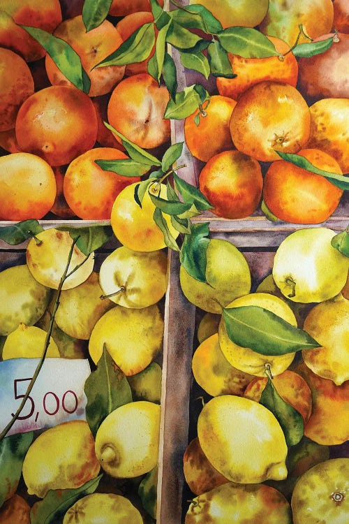 Citrus Season by Delnara El wall art