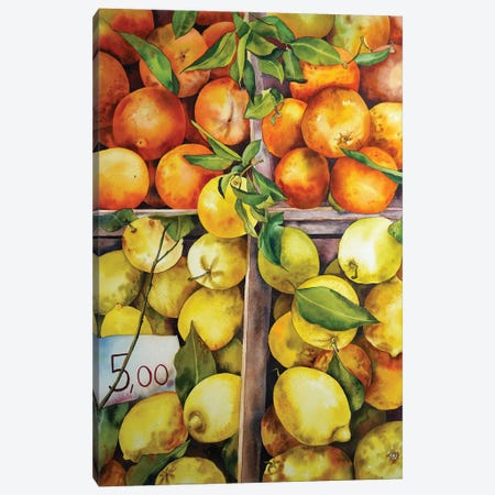 Citrus Season Canvas Print #DER13} by Delnara El Canvas Artwork