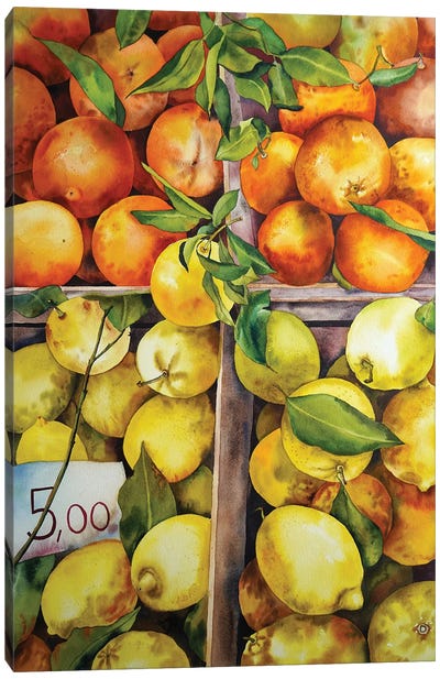 Citrus Season Canvas Art Print - Delnara El