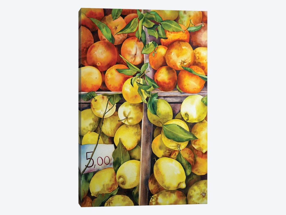 Citrus Season by Delnara El 1-piece Canvas Art Print