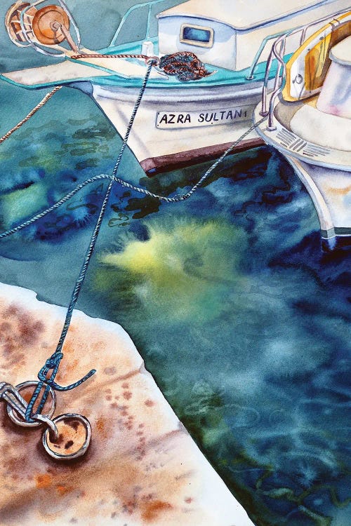 Azra Sultan by Delnara El wall art