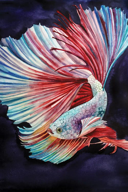 Dream Fish by Delnara El wall art