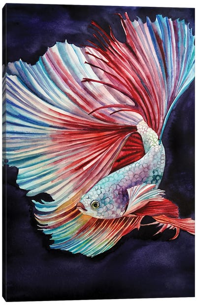 Dream Fish Canvas Art Print - Delnara El