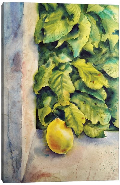 Etude With Lemon Canvas Art Print - Delnara El