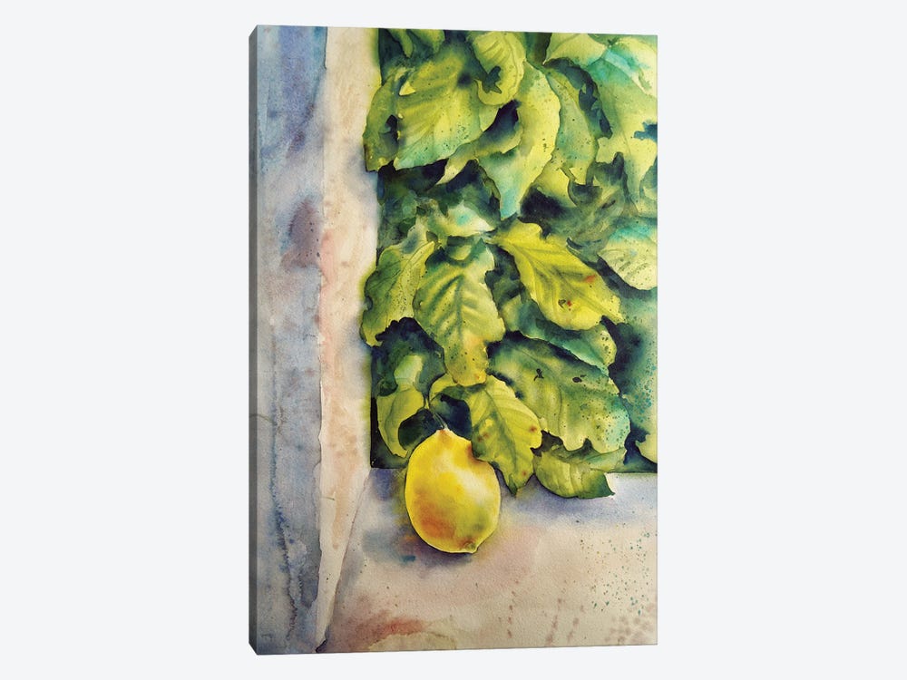 Etude With Lemon by Delnara El 1-piece Canvas Art Print