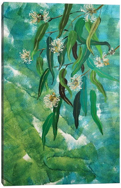 Eucalyptus On Expressive Background Canvas Art Print - Delnara El