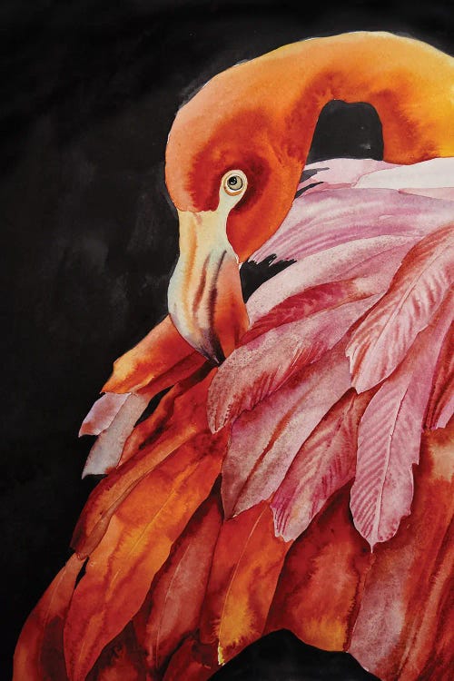 Fire Bird by Delnara El wall art