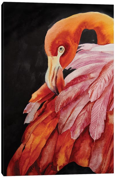 Fire Bird Canvas Art Print - Delnara El