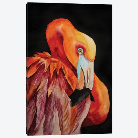 Flamingo Canvas Print #DER29} by Delnara El Canvas Print