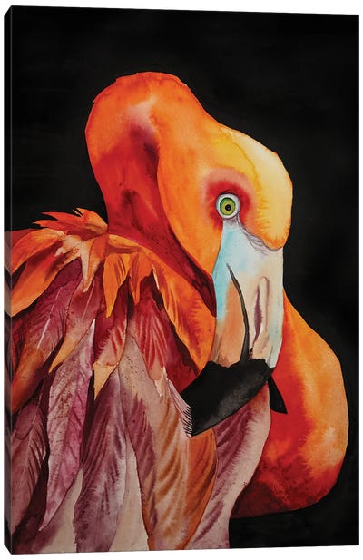 Flamingo Canvas Art Print - Delnara El
