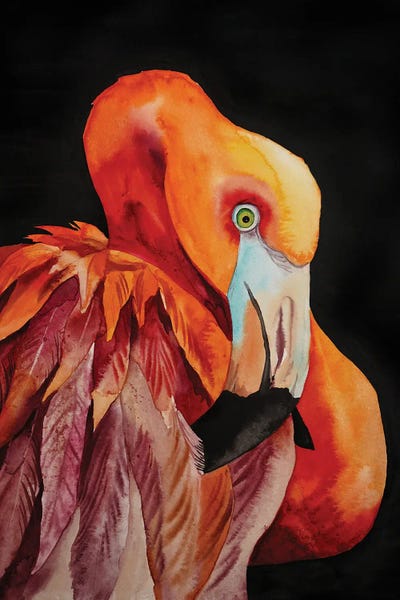 Flamingos: Flamingo by Delnara El