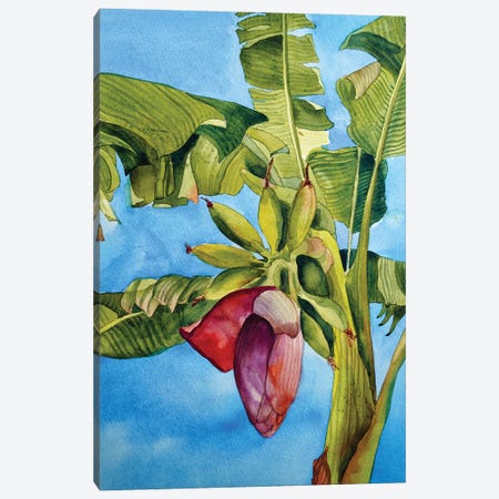 Banana Bloom Canvas Print #DER2} by Delnara El Canvas Wall Art