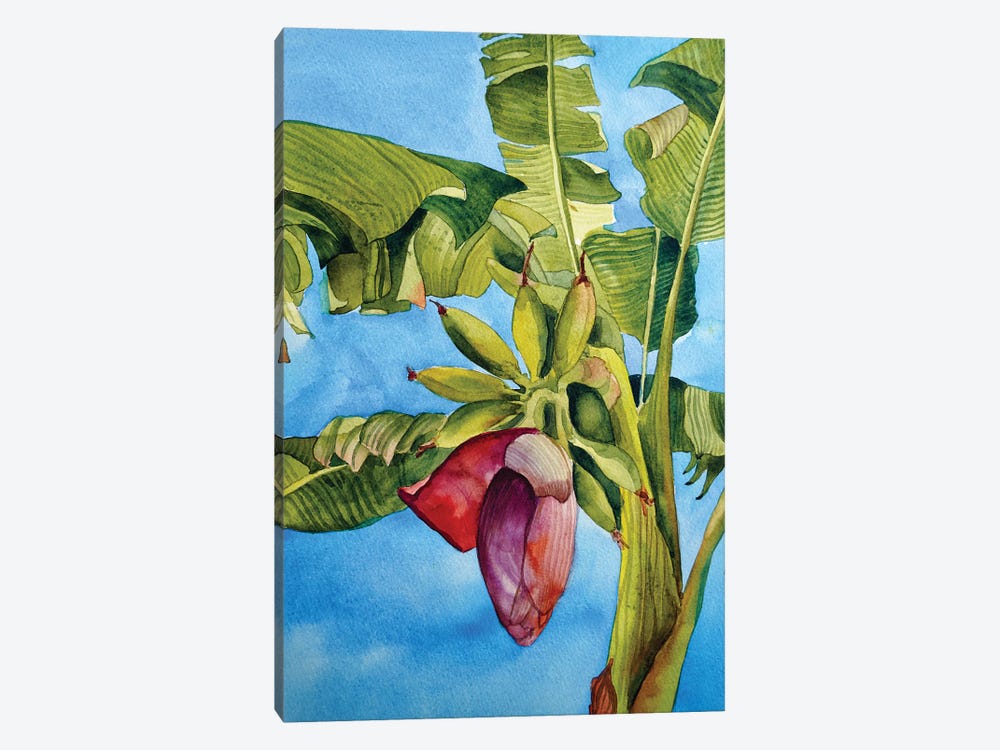 Banana Bloom by Delnara El 1-piece Canvas Art Print