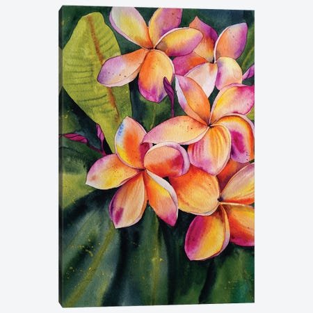 Frangipani Flower Canvas Print #DER31} by Delnara El Canvas Art