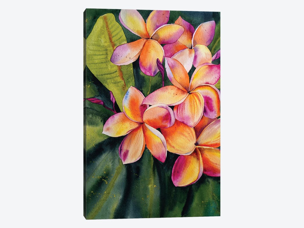 Frangipani Flower by Delnara El 1-piece Art Print