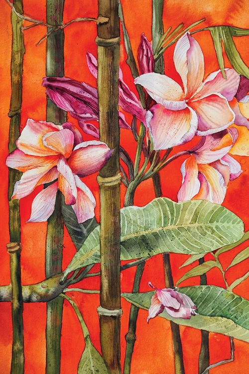 Frangipani by Delnara El wall art