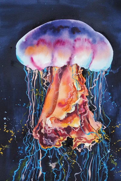Jellyfish by Delnara El framed canvas print