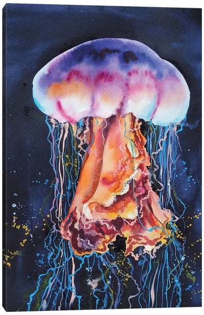 Jellyfish Canvas Art Print - Delnara El