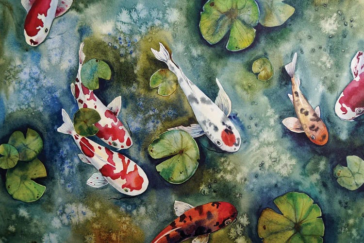 Koi Fish And Water Lilies Leaves