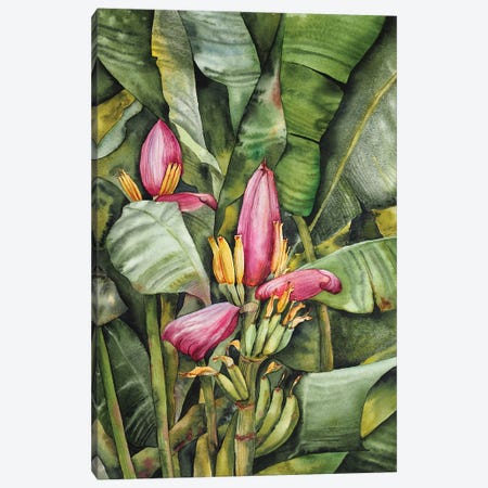 Banana Flower Canvas Print #DER3} by Delnara El Canvas Wall Art