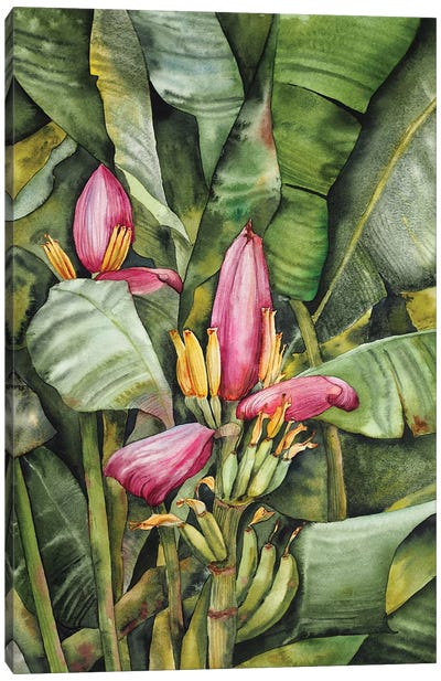 Banana Flower Canvas Art Print - Tropical Leaf Art
