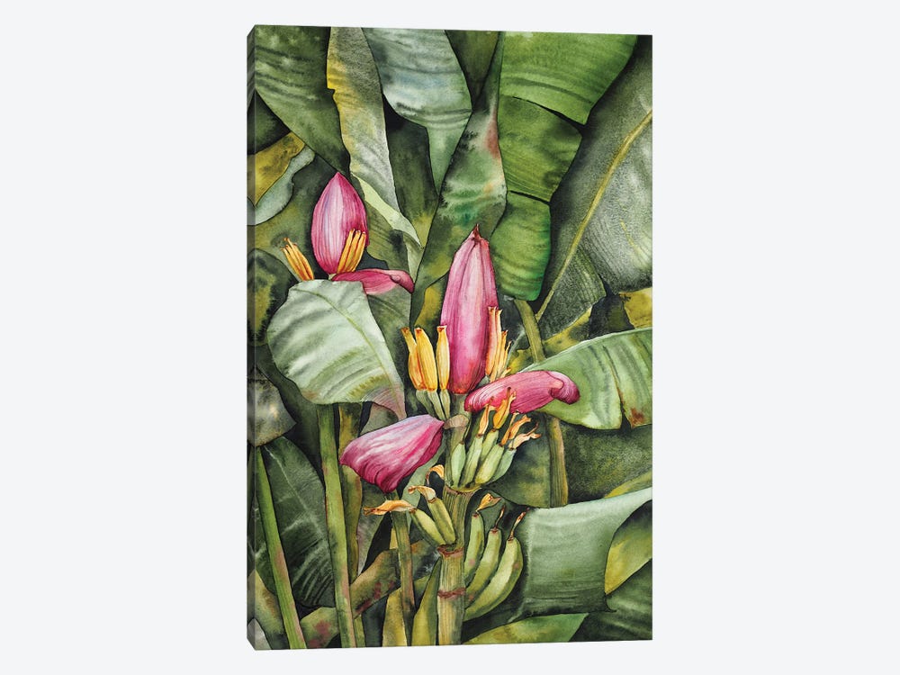 Banana Flower by Delnara El 1-piece Canvas Art