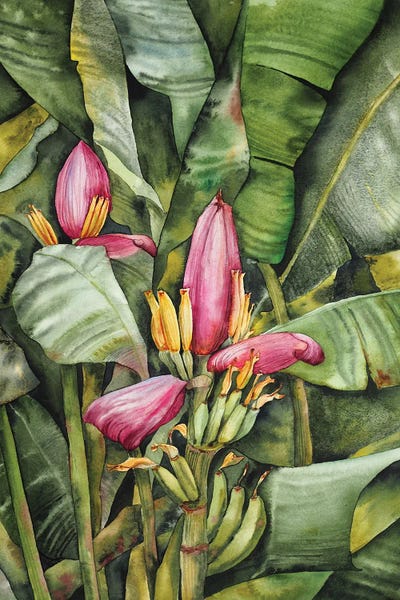 Tropical Leaves: Banana Flower by Delnara El